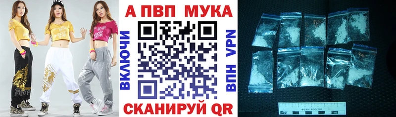 блэк спрут ССЫЛКА Сясьстрой Альфа ПВП крисы CK