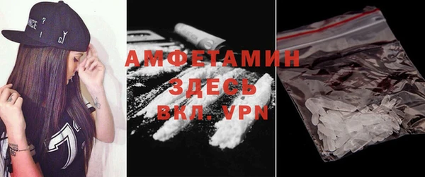 стафф Аркадак