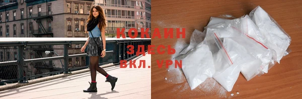 стафф Аркадак