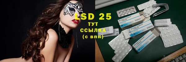 стафф Аркадак