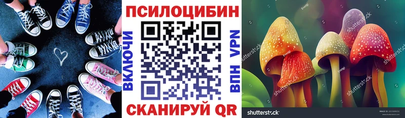 Галлюциногенные грибы GOLDEN TEACHER  Сясьстрой 